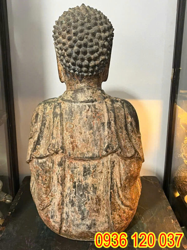 Dongcao58cm 0